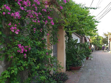 Tâm sự của cô dâu muốn hủy hôn vì chú rể quá yêu mẹ