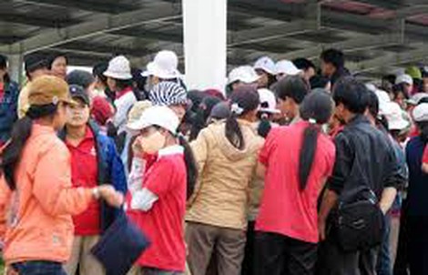 Đã trả lương cho người lao động