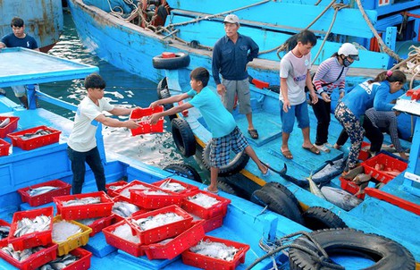 Chợ hải sản giá rẻ trên đảo Phú Qúy