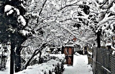 Nghẹt thở vì vẻ đẹp của ngôi làng tuyết phủ ở Ấn Độ
