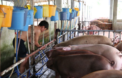 "Mất sản nghiệp, đi tù khi sử dụng chất cấm"