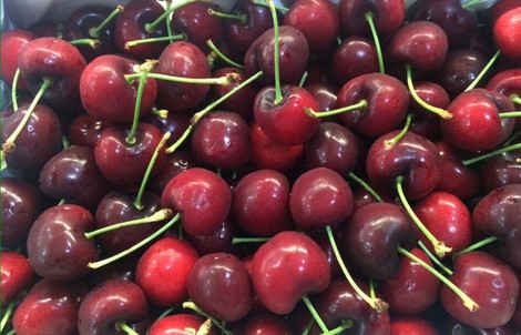 Ma trận quả cherry: Hàng Tàu "đột lốt" Mỹ, Canada...