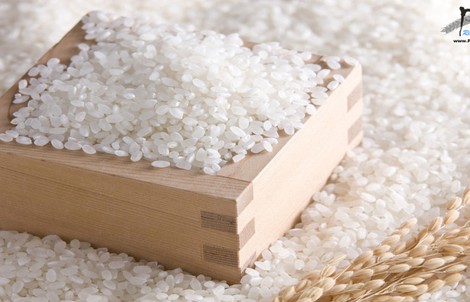 Trải nghiệm gạo Nhật Japonica