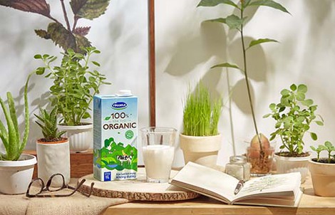 Vinamilk sản xuất sữa tươi Vinamilk 100% organic cao cấp