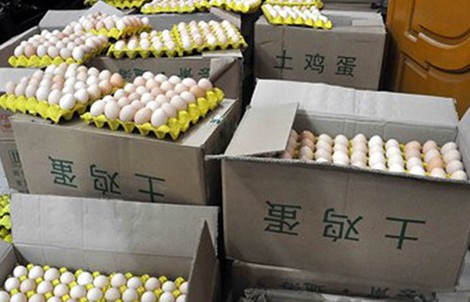 Một đêm bắt 18.000 quả trứng gà in chữ Trung Quốc