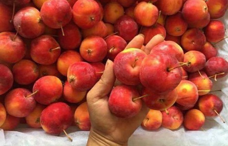 5 loại táo Trung Quốc đang bán đầy chợ Việt, người mua dễ nhầm lẫn
