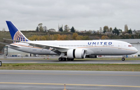 Hãng United Airlines bị kiện vì làm chết thỏ khổng lồ