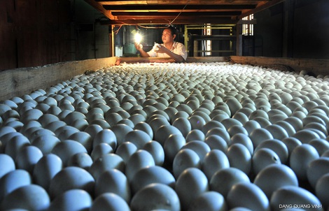Ấp trứng vịt lộn, một thôn thu gần 200 tỉ đồng mỗi năm