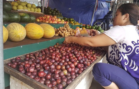 Mận lạ đội lốt "mận Sapa" nhan nhản trên thị trường