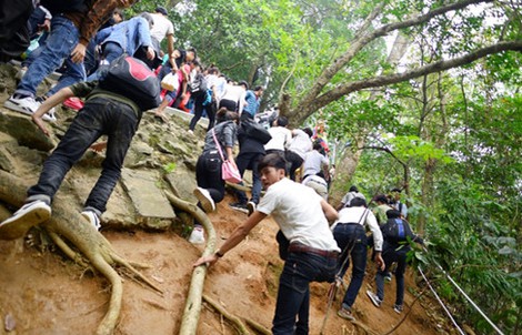 "Choáng" với cảnh leo vách núi lên Đền Hùng dâng hương