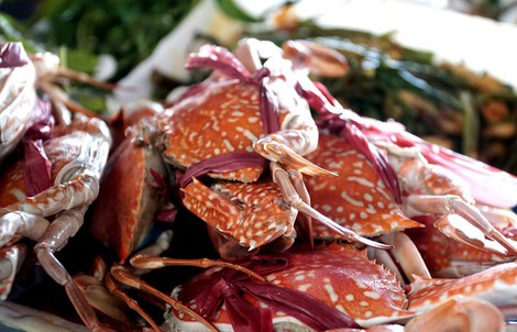 "Thiên đường" hải sản tươi rói ở chợ ngoại ô Sài Gòn