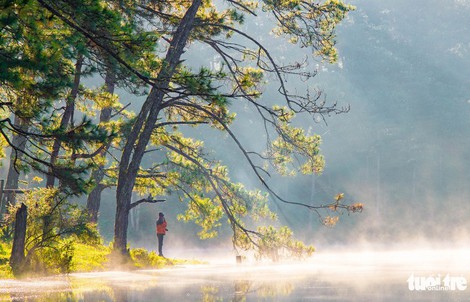 Đà Lạt mơ màng trong 'mùa nắng lạnh' đẹp nhất năm