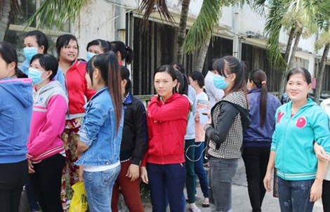 Chế tài không nghiêm, doanh nghiệp lờn luật