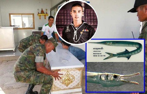 Tập trận, binh sĩ Thái bị cá cắt cổ tử vong