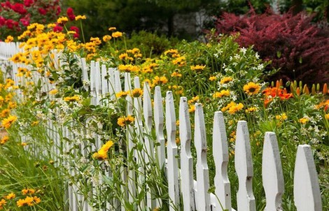 Mê mẩn những hàng rào tuyệt đẹp bằng hoa