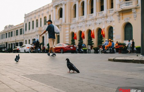 Không ồn ào vội vã, Sài Gòn - Hà Nội được trả lại vẻ yên bình trong ngày mùng 1 Tết