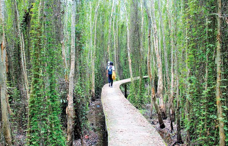 Thảnh thơi “đường tình yêu” ở Tân Lập