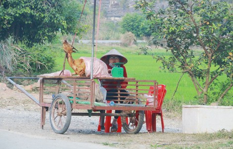 Thịt dê “thấm” bụi bẩn bán tràn lan bên đường vào Tràng An