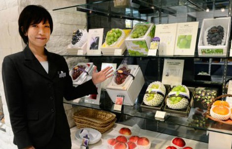 Vì sao trái cây Nhật giá đắt không tưởng?