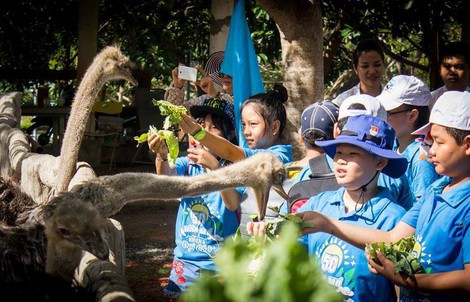 Học mà chơi, chơi mà học tại Fun Farm Hồ Mây