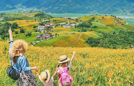 Chiêm ngưỡng xứ sở hoa kim châm đẹp như tranh vẽ ở Đài Loan