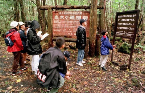 Khu rừng "rợn tóc gáy" ở Nhật Bản