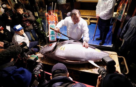 Chợ cá lớn nhất thế giới ở Nhật Bản - nơi bán những con cá triệu USD