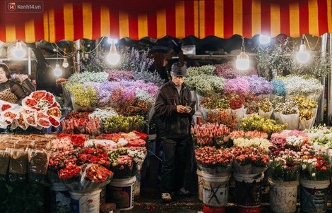 Chợ hoa Quảng An sáng đèn, lung linh những ngày giáp Tết