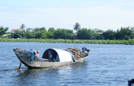 Giải phóng sức sáng tạo
