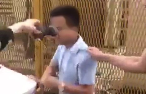 Bị tố sàm sỡ nữ học viên, thầy dạy lái xe tố ngược bị hành hung và dọa "giết cả nhà"