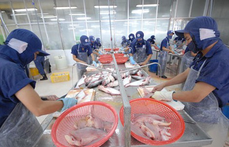Doanh nhân hiến kế phát triển kinh tế đất nước