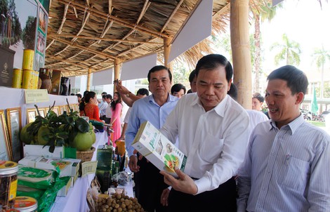 Tiến độ xây dựng nông thôn mới có dấu hiệu chững lại