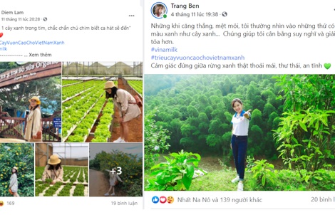 ‘Triệu cây vươn cao cho Việt Nam xanh’ - Kết thúc đẹp của chiến dịch online được cộng đồng góp sức