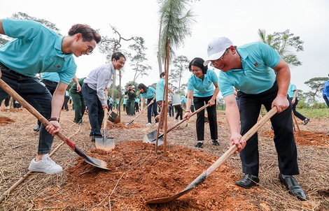Hành trình"Một triệu cây xanh, thêm cây thêm sự sống" đến với Khu di tích lịch sử K9 Đá Chông – Ba Vì