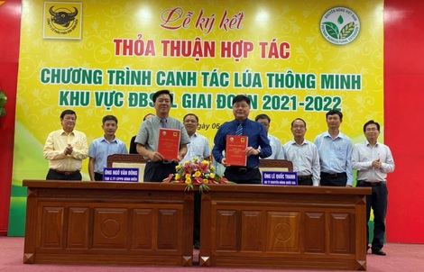 Bình Điền và Khuyến nông Quốc gia hợp tác canh tác lúa thông minh