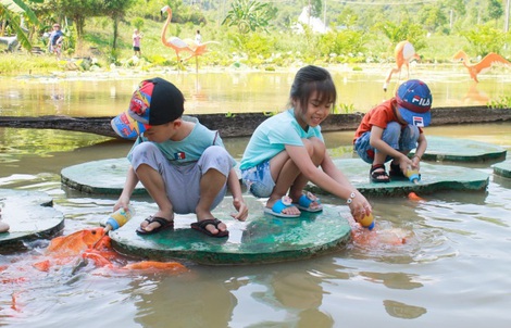 Công viên Du lịch Yang Bay – Thế giới kỳ thú dành cho các em nhỏ