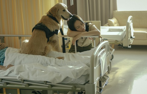 Phương Anh Đào khổ sở vì "bạn diễn 4 chân"