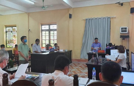 Chặt cây người khác trên đất có sổ đỏ của mình, chủ doanh nghiệp lĩnh án tù treo
