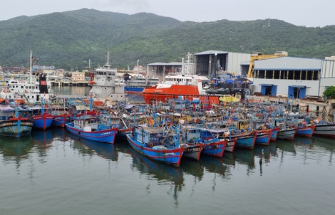 Đà Nẵng cấm tàu thuyền ra khơi