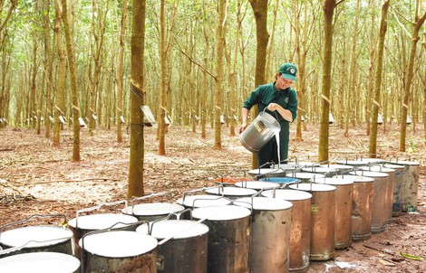 VRG được Thủ tướng trao tặng bằng khen vì có thành tích trong công tác phòng, chống dịch Covid-19