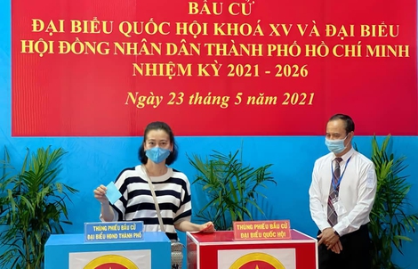 Nghệ sĩ háo hức đi bầu cử