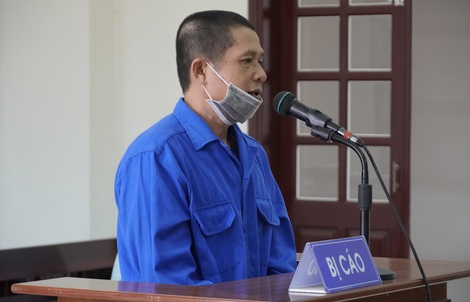 Lãnh 7 năm tù vì cưa 24 gốc hoa giấy trên tuyến đường đẹp nhất TP Vũng Tàu