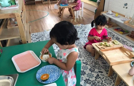 Trường tư thục lao đao (*): Nhiều hệ lụy nếu không thể vực dậy