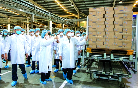 Sải bước dài ra thế giới