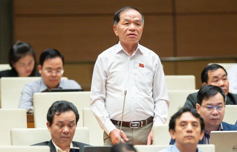 ĐBQH Lê Thanh Vân: Đề nghị rà soát bằng tiến sĩ, thạc sĩ của cán bộ trung, cao cấp
