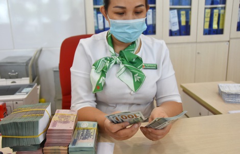 Phát huy sức mạnh của kiều bào