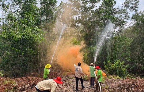 VWS-LA tập huấn phòng cháy chữa cháy rừng