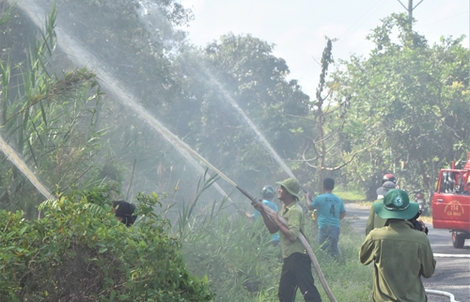 Chủ động phòng chống cháy rừng