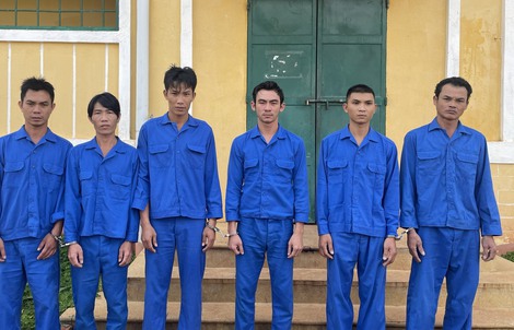 Bắt tạm giam 7 đối tượng bẫy trộm hàng trăm con mèo