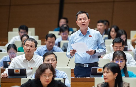 Phải giám sát những ông chủ ngân hàng